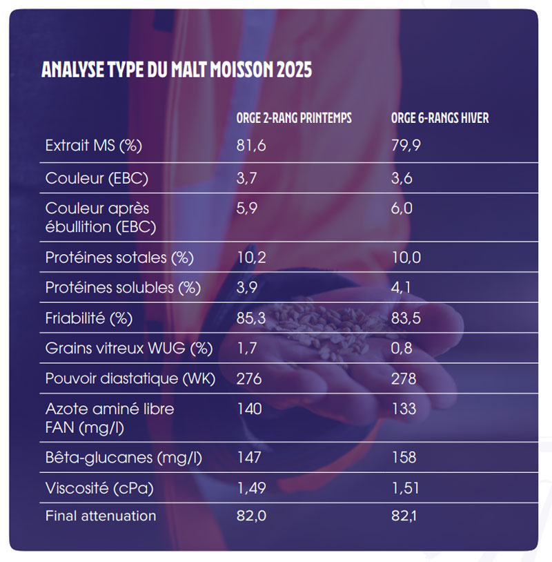 analyse malt moisson 2025