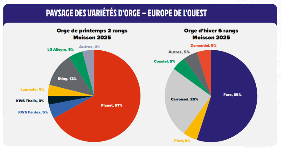 varietes orges europe 2025