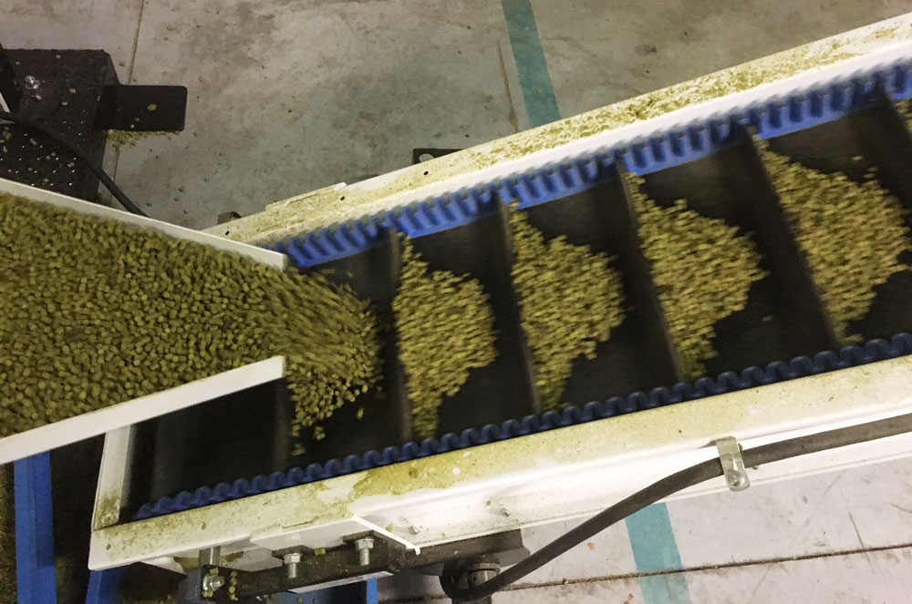 Ligne Pelletisation pellets houblon