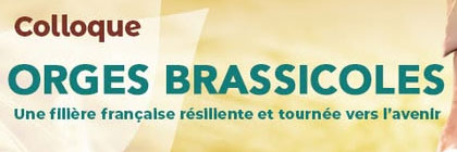 colloque orges brassicoles
