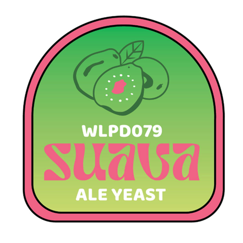 suava wlp079 levure thiolee biere ipa pale ale tropicale goyave
