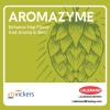 abv-aromazyme-enzyme-biere-flaveur-houblon