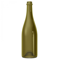bouteille-champenoise-methode-trad-75-cl-antqiue-couronne-consignee