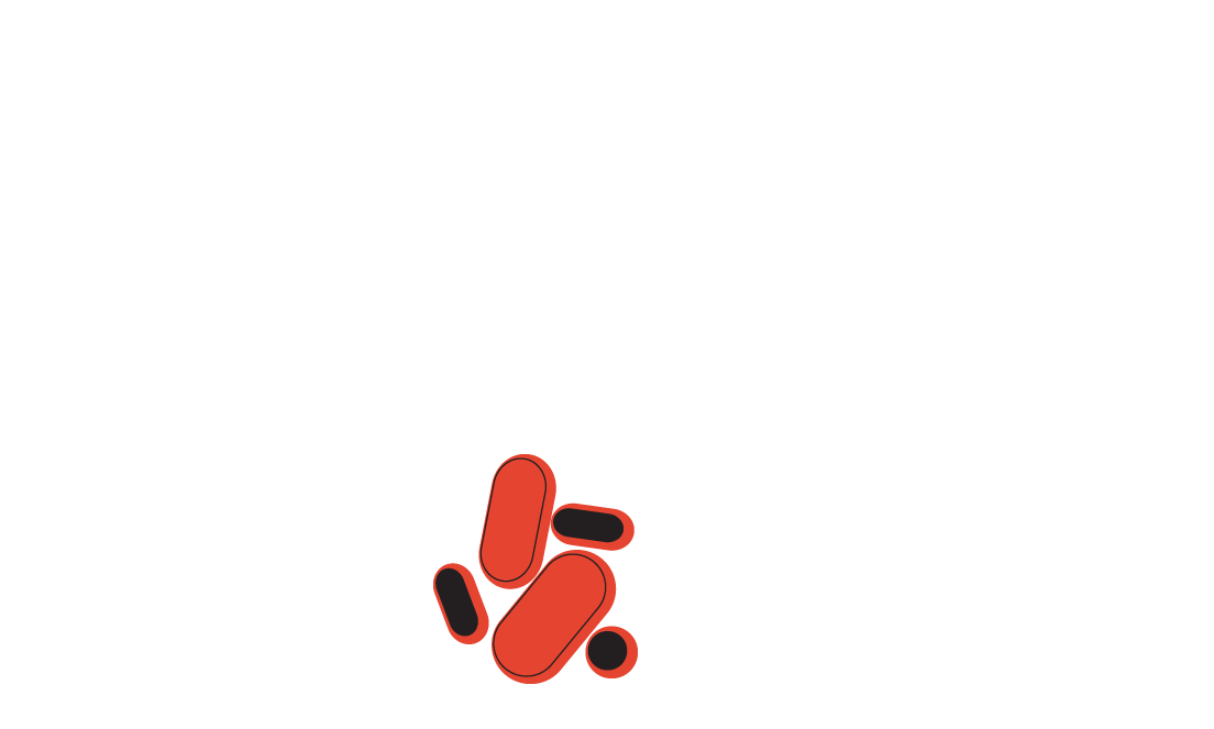 levure bacterie brasserie biere