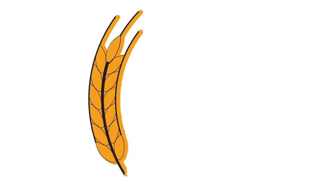orge malt biere