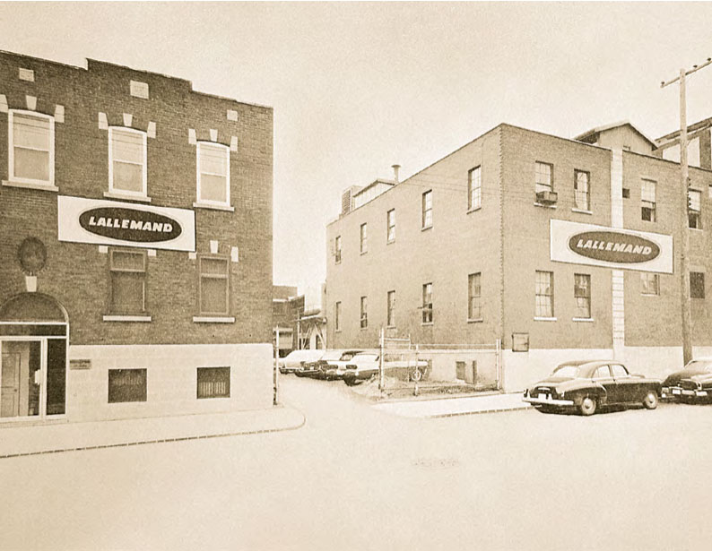 bureau levure lallemand montreal biere