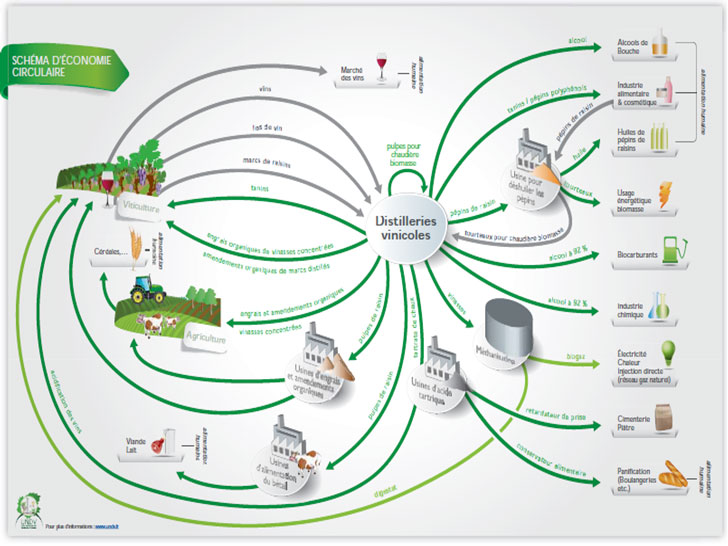 economie circulaire brasserie
