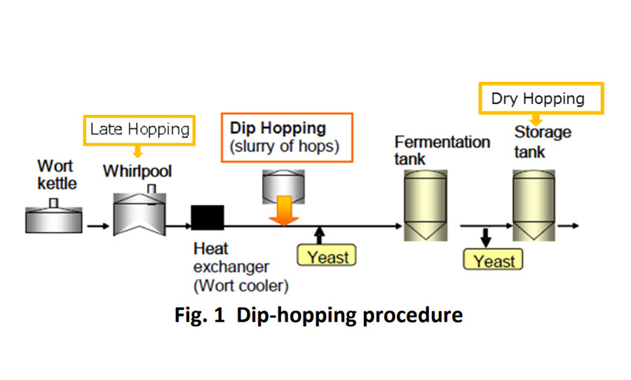 dip hopping procedure kirin
