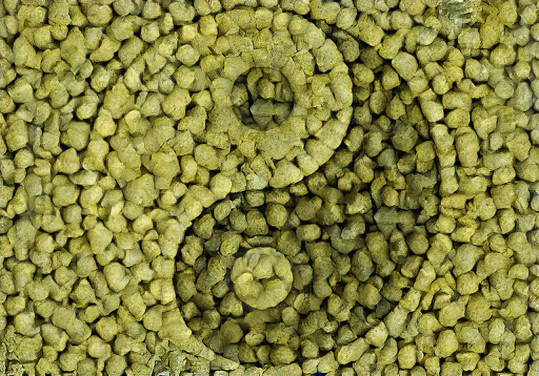 houblon ying yang