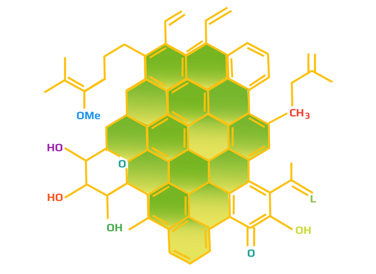 Chimie et flaveurs du Houblon