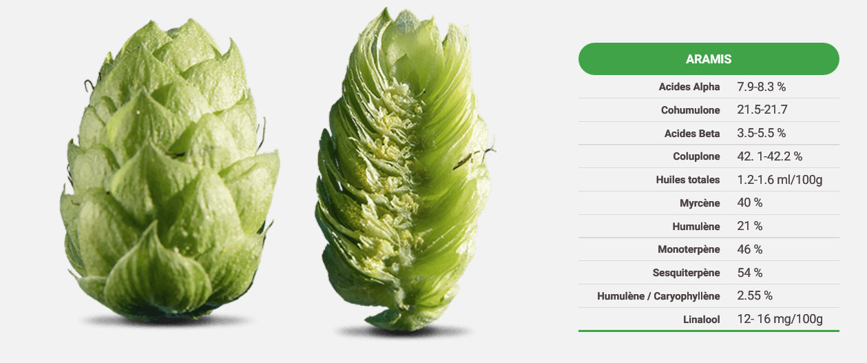 composition chimiques houblon