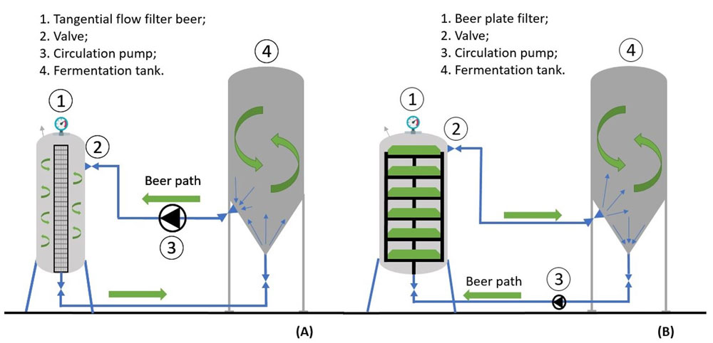 dry hopping dynamique biere houblon