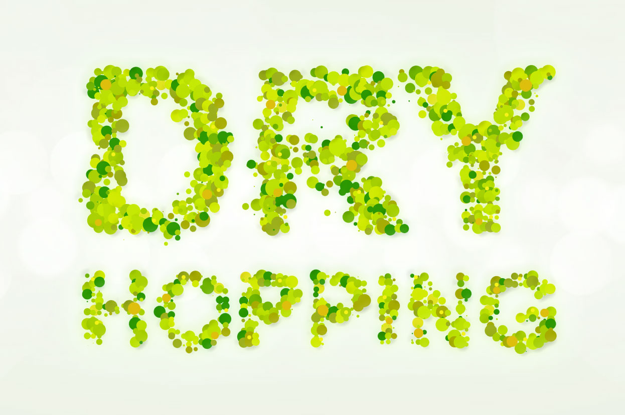 Houblonnage à Cru - Dry Hopping 