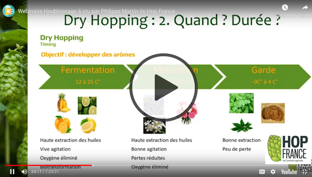 Houblonnage à Cru à froid dry hopping