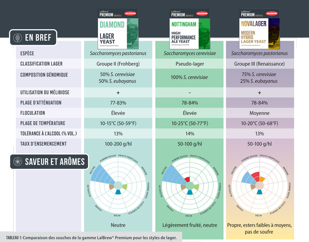comparatif levure biere lager blonde lallemand