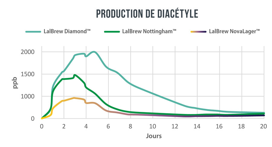 production diacetyle levure biere lager blonde