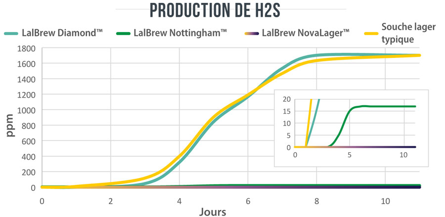 production h2s levure biere lager lallemand