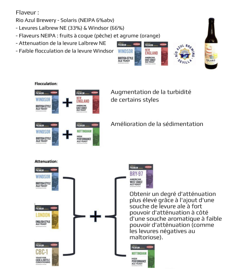 possibilites melanges levures brassage bieres cofermentation