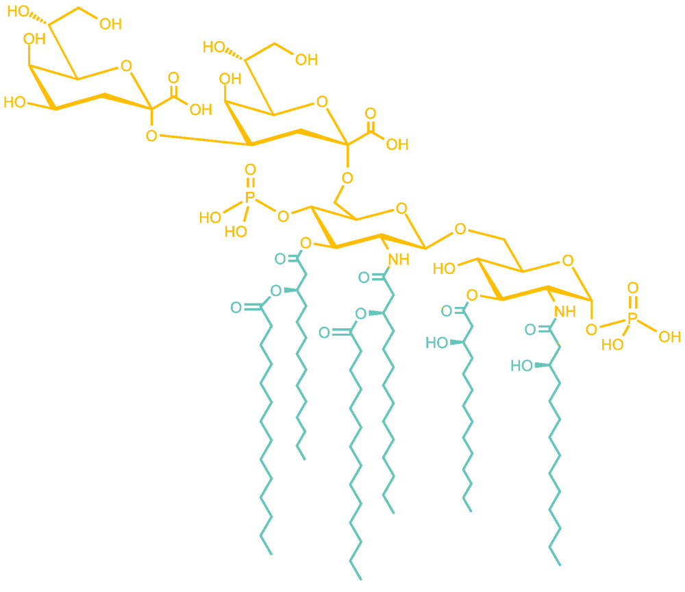 glycolipide