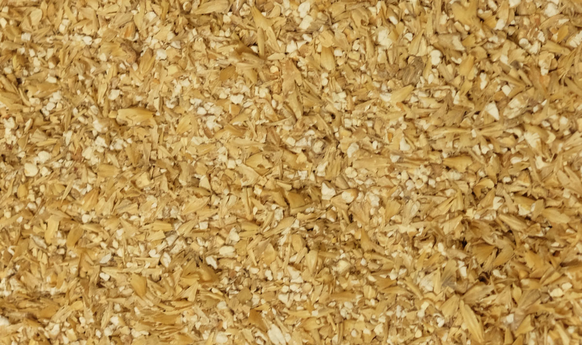 Concassage du Malt pour la Bière