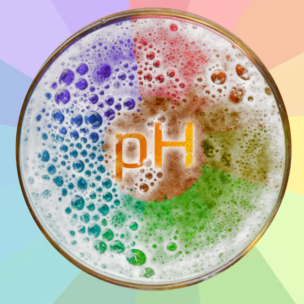 pH en Brasserie