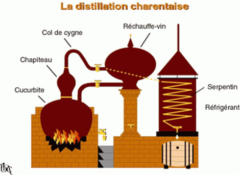 distillation charentaise